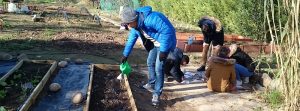 Lee más sobre el artículo Huerto (III): Y para el invierno ¡ya tenemos semillero!