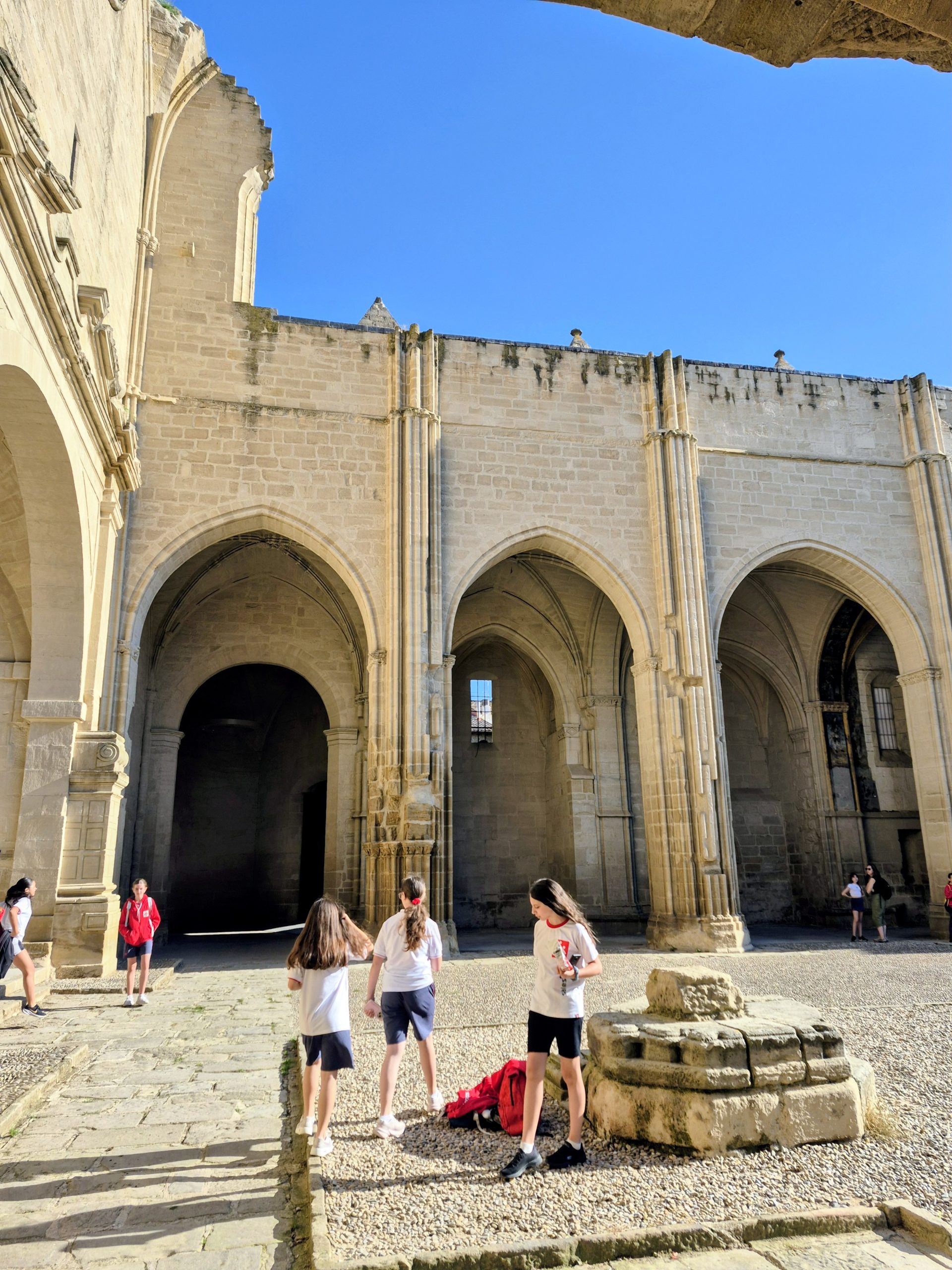 CAMINO DE SANTIAGO: DE VIANA A LOGROÑO