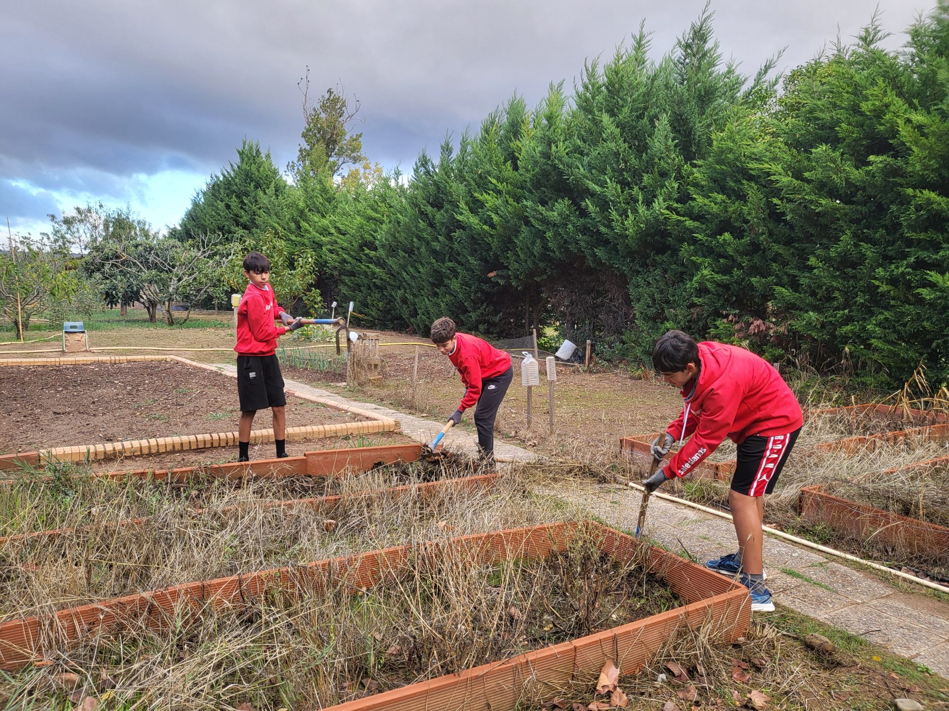 En este momento estás viendo 🌱 ¡Arrancamos nuestro huerto escolar!